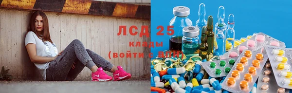 героин Богданович