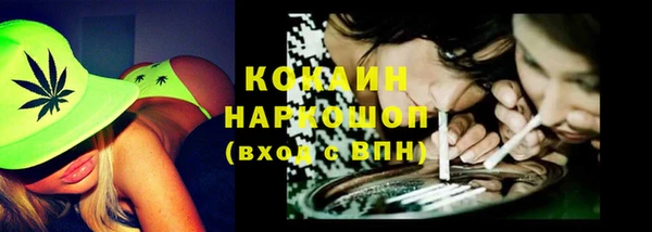 стаф Богородск