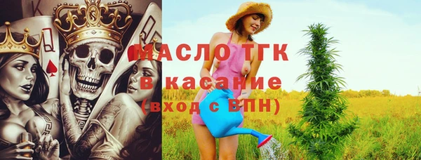 стаф Богородск
