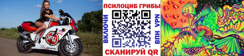 Галлюциногенные грибы GOLDEN TEACHER  Купить  Каменногорск 